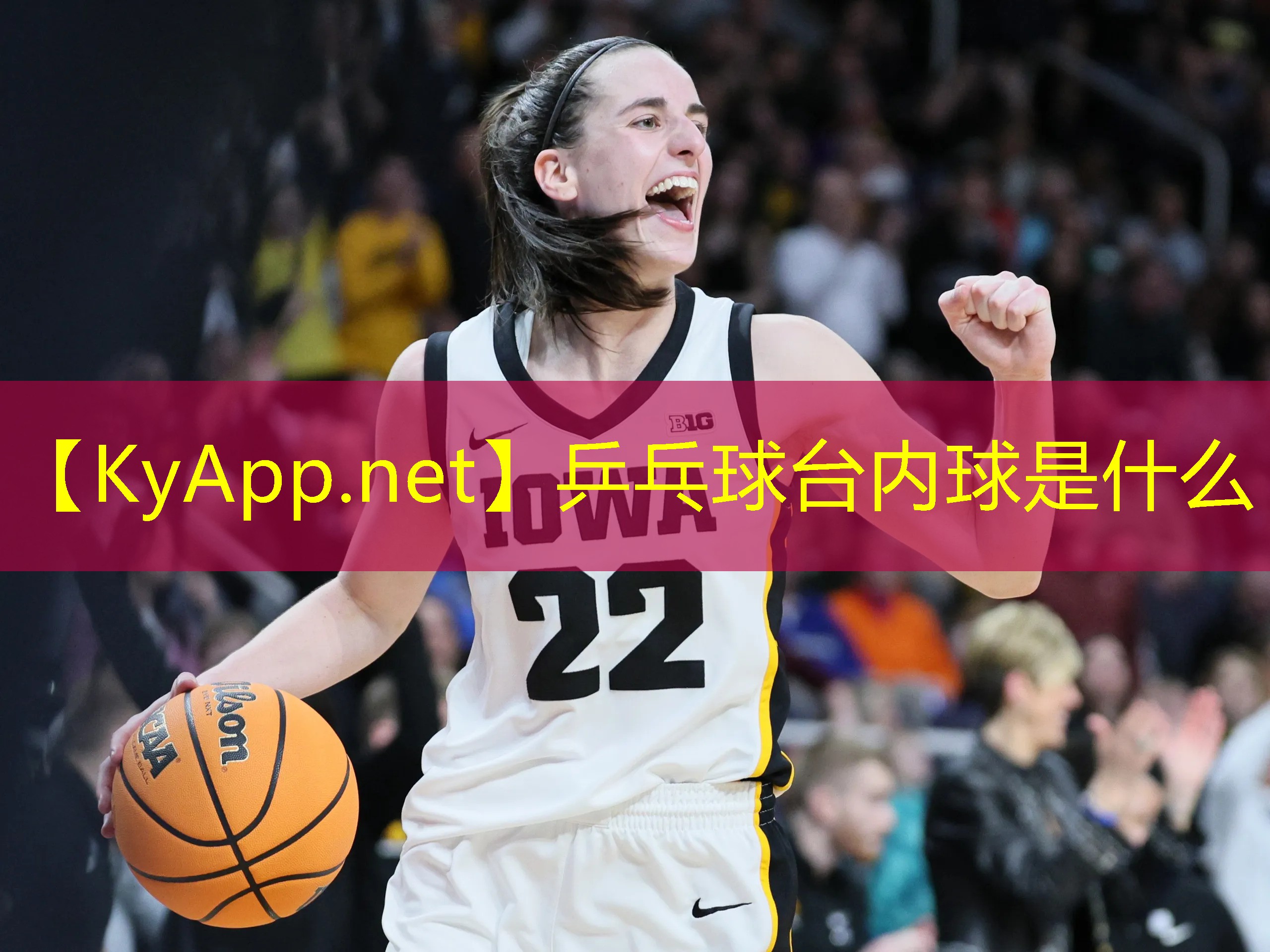乒乓球台内球是什么