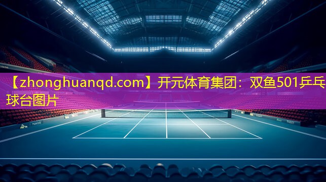 开元体育集团：双鱼501乒乓球台图片