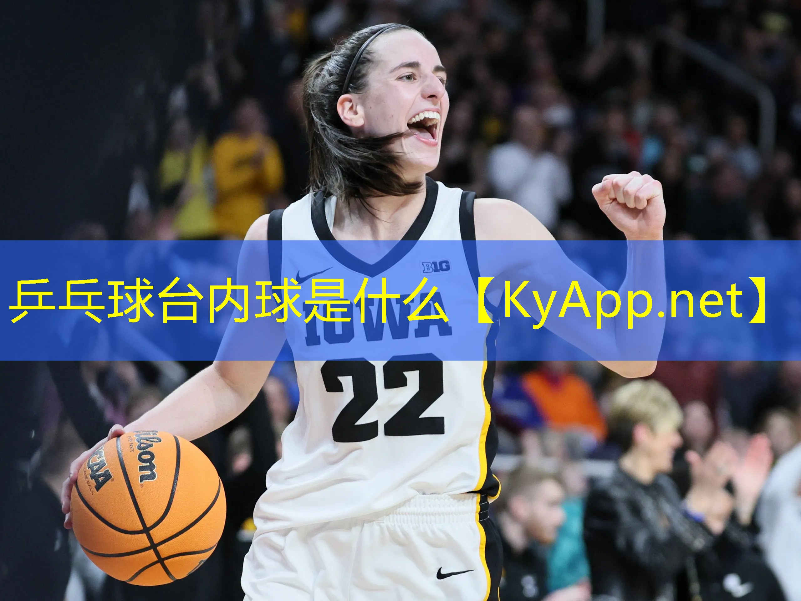 乒乓球台内球是什么