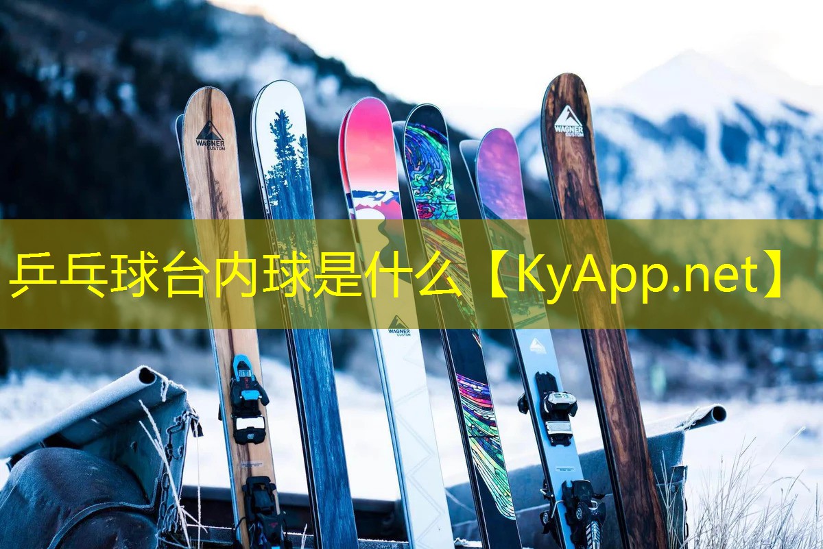 乒乓球台内球是什么