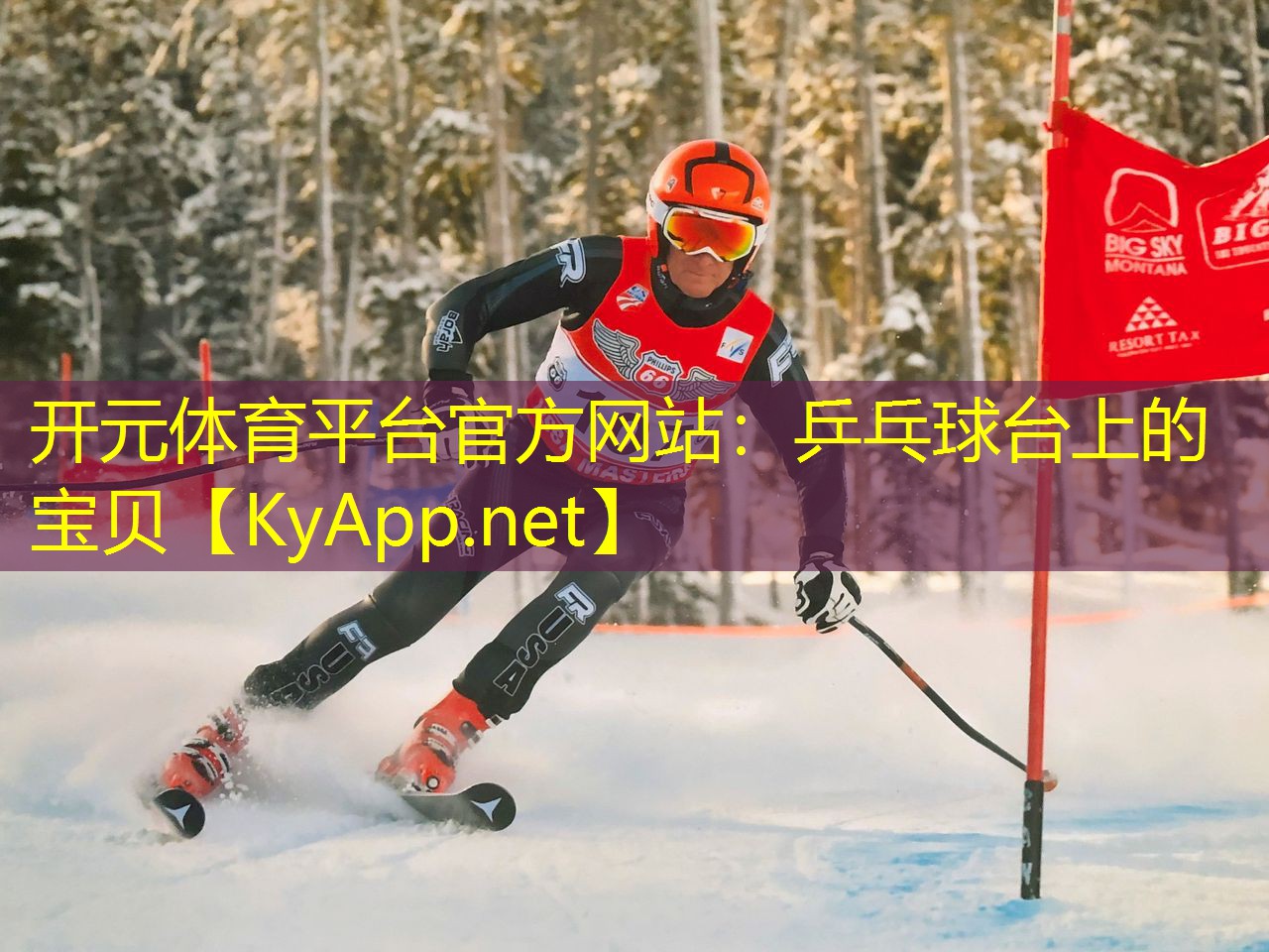 乒乓球台上的宝贝