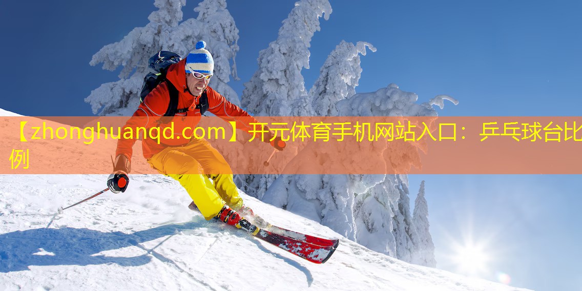 乒乓球台比例