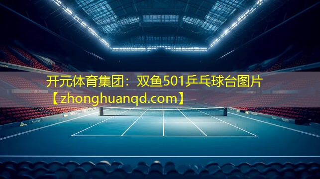 双鱼501乒乓球台图片