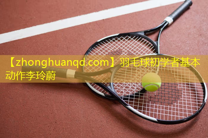 羽毛球初学者基本动作李玲蔚