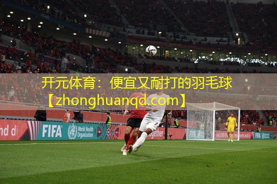 便宜又耐打的羽毛球
