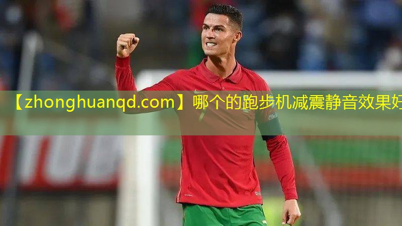 哪个的跑步机减震静音效果好