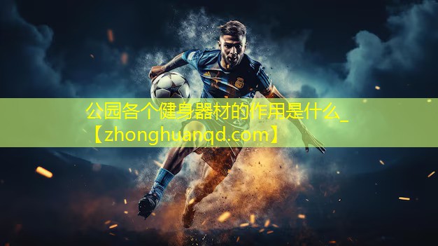 公园各个健身器材的作用是什么_