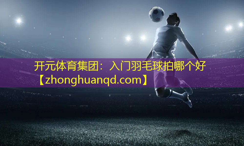 入门羽毛球拍哪个好